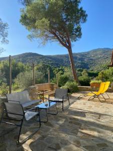 Elba Villa Colle - Nel verde ma vicina al mare