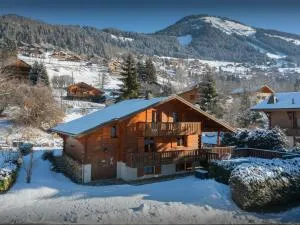 Chalet Igel - OVO Network - 沙泰勒