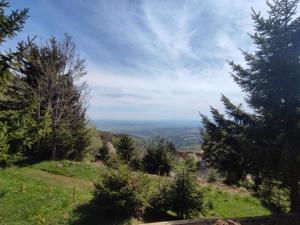 Apartma Pohorc - Macesen