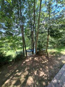 Apartma Pohorc - Macesen