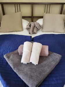 B&B / Chambres d'hotes Le Relais des Elephants Colores : photos des chambres