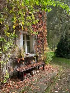 Wytchnienie - 瓦姆比耶尔兹采