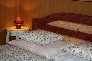 Studio (2 Adults) room in Zderaz