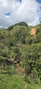 La griselda - San Rafael