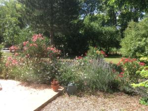 Villas La Pinede : photos des chambres