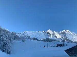 Fantastic View in Front of Slopes! - 梅赫陶尔
