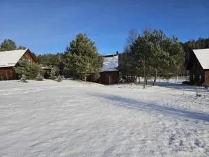 Skrzynia - Skorzenno