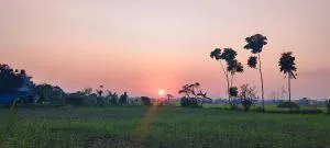 Rhino Land family Home Stay chitwan with garden - Chitwan