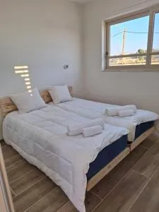 נוף המדבר - 米茨佩·拉蒙