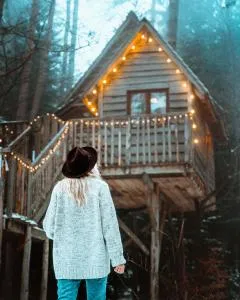 NIDS des VOSGES - 特恩顿