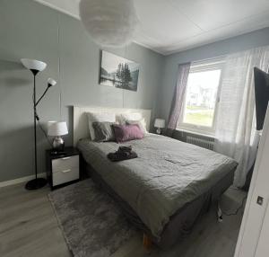 Vinter Paradis Hotel