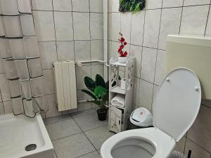 Apartment Zarnesti City Centre VMP Free Parking