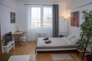 Practical flat Nivy centre - Nivy