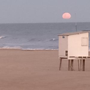 Gesell Norte Mar y Bosque