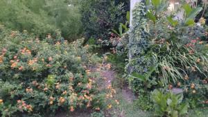 Gesell Norte Mar y Bosque