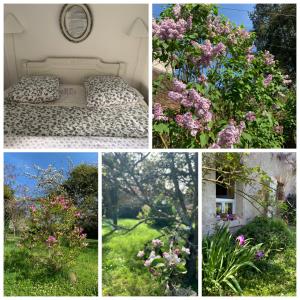 B&B / Chambres d'hotes Chambres d'Hotes Les Renardieres : photos des chambres