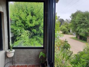 Gesell Norte Mar y Bosque