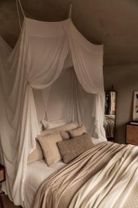 Luxe Hottub Japandi Tiny house in het Bos