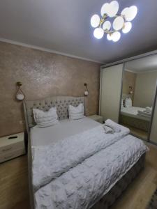 Sika President Garden & Spa Central Apartment Arad