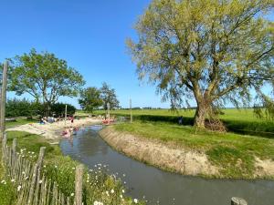 Luxe Wikkelhouse met hottub Dompel