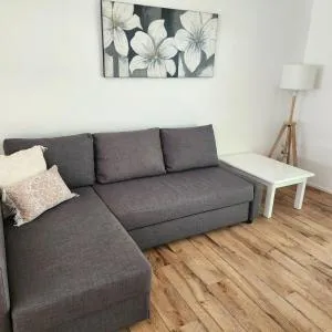 Best of all comfortable for the our four legged friends - Carmila