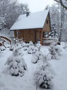 LESZCZYNOWY STOK - Dwerniczek