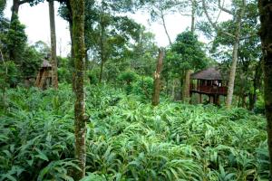 Carmelia Haven Resort Thekkady