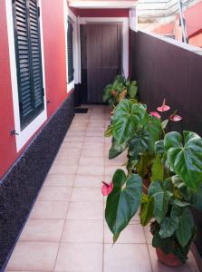 Sea & Mountain View Lombo de Cima House BBQ & Wifi