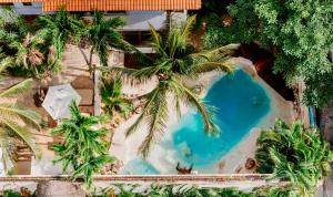 Mezcal Hotel Boutique