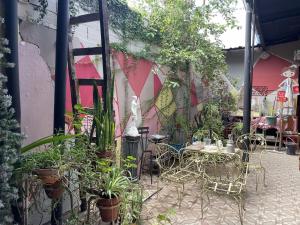 Casa Exótica y Gourmet