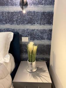 Dreibettzimmer mit Terrasse