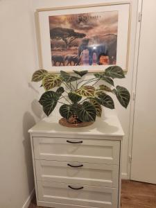 Bali Forest Roissy CDG Airport - Paris Villepinte