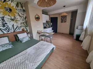 Le Petit Marais - Tilques