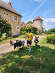 Maisons de vacances la tour de garde : photos des chambres