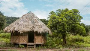 PRIMITIVO LODGE & dive center