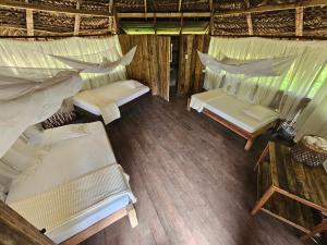 PRIMITIVO LODGE & dive center