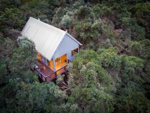 Storm's Hollow - Forest Cabin
