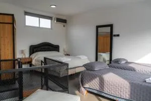 Las Violetas - Olivera