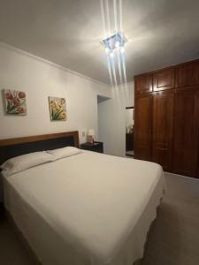 Apto maravilhoso, central