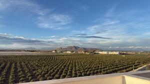 Penthouse Vista Naranjos