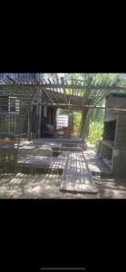 Achiras point - 罗恰