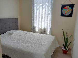 Alojamiento Casa en Ica