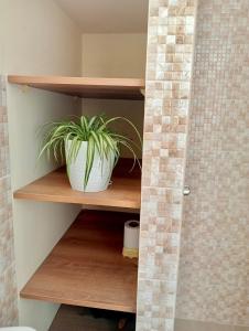 Alojamiento Casa en Ica