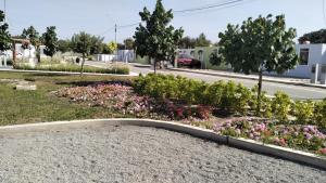 Alojamiento Casa en Ica