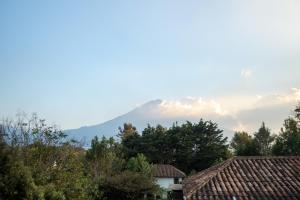 Indian Palace Hotel Boutique Spa & Restaurante