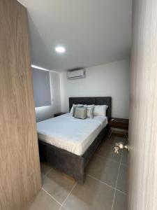 Apartment with large balcony