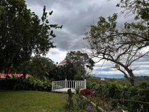 B&B Garden Grecia - Cedro