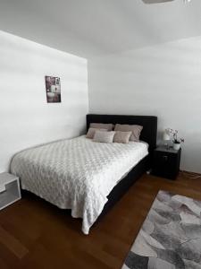 Apartments in Bern - Green Relax