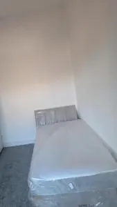 Regent Road guests house - 莱姆河下游的纽卡尔斯