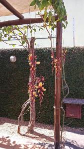 Linda casa, aproximadamente 8km das praias de Grumari, Recreio dos Bandeirantes,Prainha Rio Centro praia da Reserva da Macumba